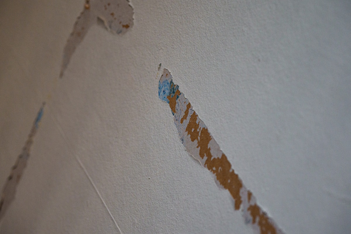 Mold Remediation service in Metairie, LA