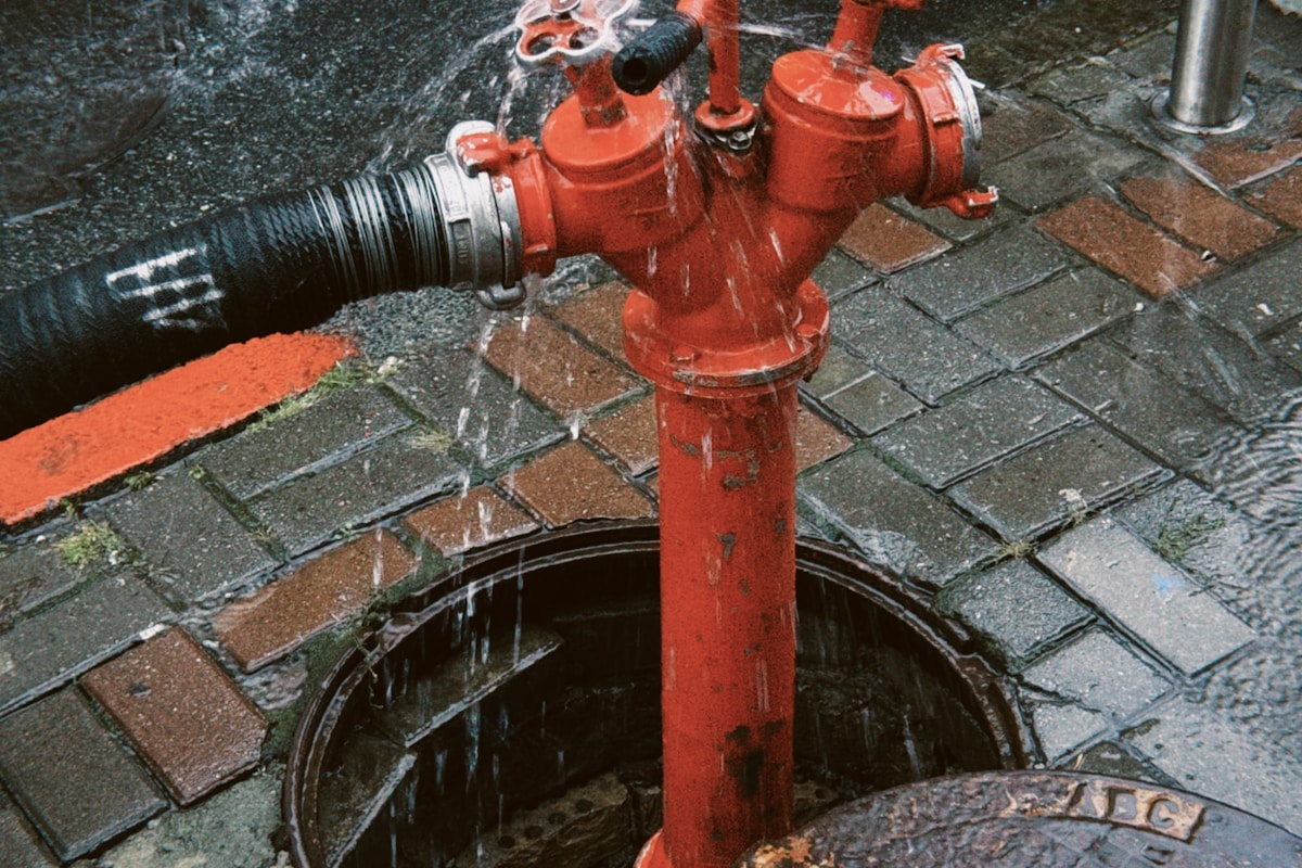 Water Extraction service in Metairie, LA